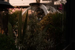 Temukan Tempat Aqiqah Terdekat di Sleman yang Berkualitas dan Terjangkau