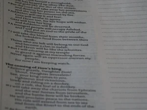 Daftar Menu Aqiqah yang Menggugah Selera untuk Acara Spesial