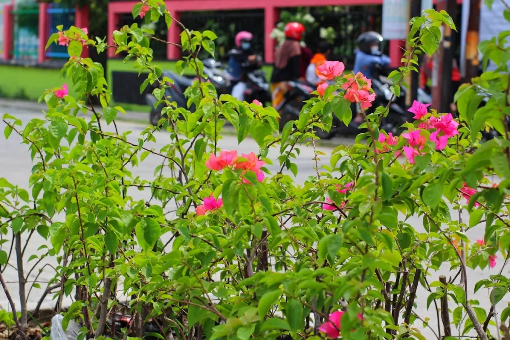 Jenis-jenis Menu Aqiqah yang Umum Dipilih