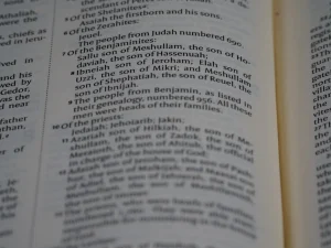 Panduan Lengkap Aturan Aqiqah di Bantul yang Wajib Diketahui