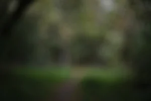 Paket Aqiqah 2 Kambing Terbaik di Solo - Solusi Praktis dan Berkualitas