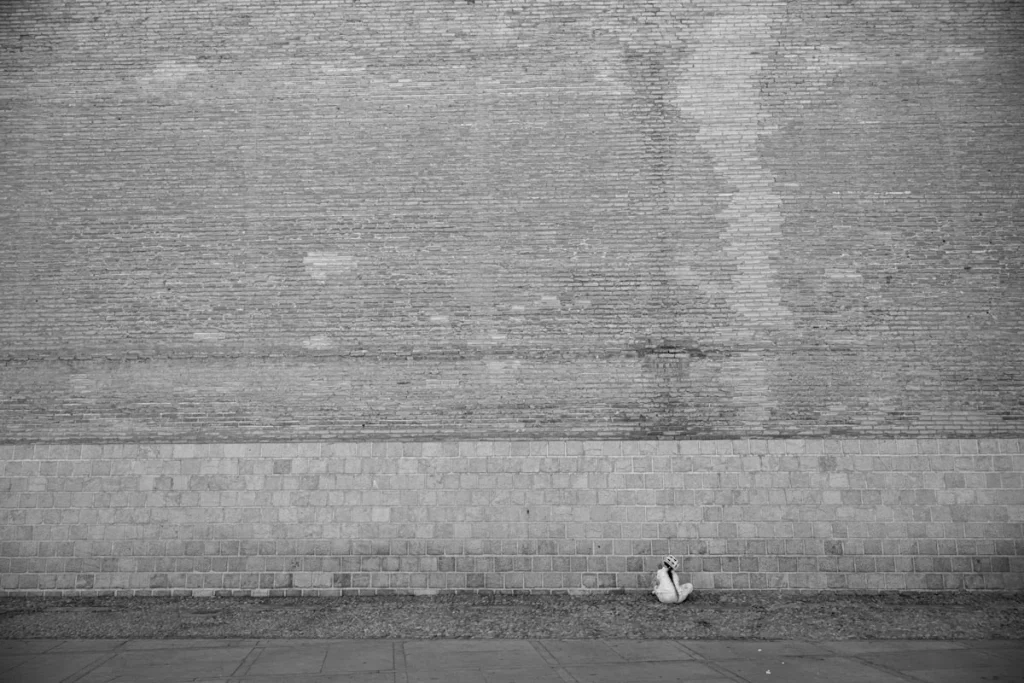 Keunggulan Paket Aqiqah 2 Kambing