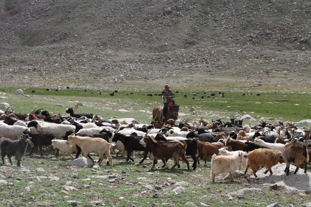 Keutamaan Aqiqah dalam Islam