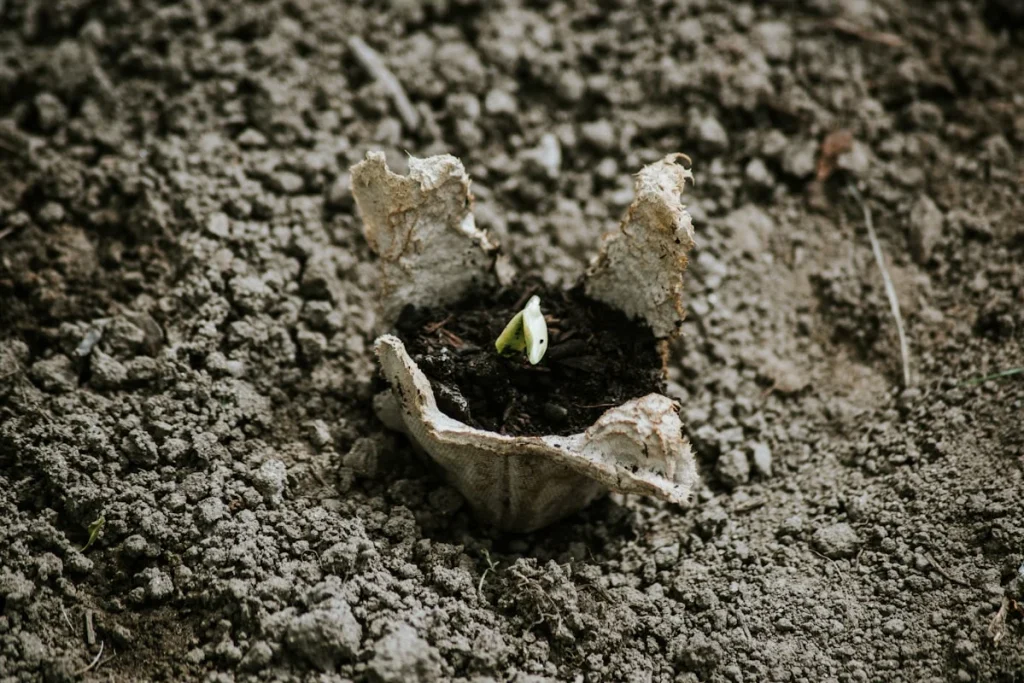 Pengenalan Aqiqah dalam Islam