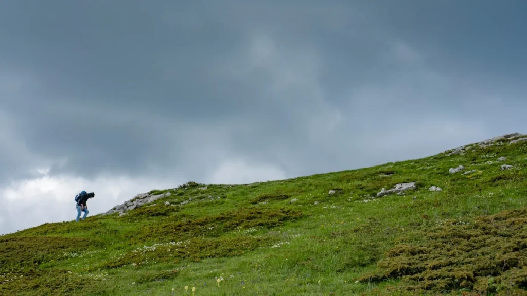 Sejarah dan Asal Usul Aqiqah
