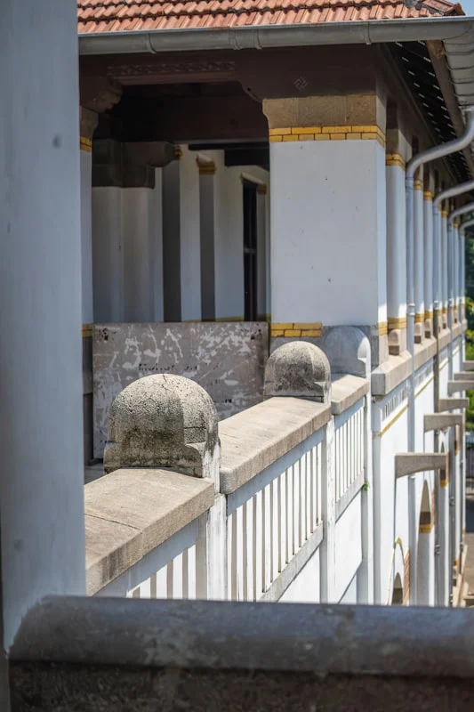 Aqiqah Kambing Jantan atau Betina di Semarang: Pilihan Terbaik untuk Perayaan Anda