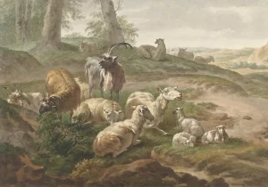 Domba Aqiqah Terbaik untuk Laki-laki di Bantul - Pilihan Berkualitas