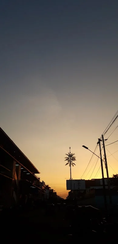 Keunggulan Hewan Betina untuk Qurban